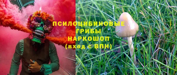 тгк Сосновка