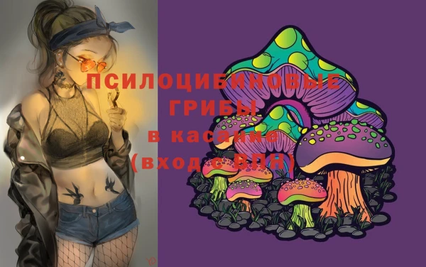 тгк Сосновка