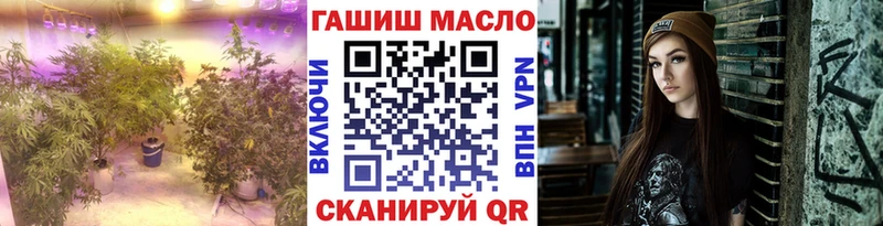 ТГК THC oil darknet Telegram Аша