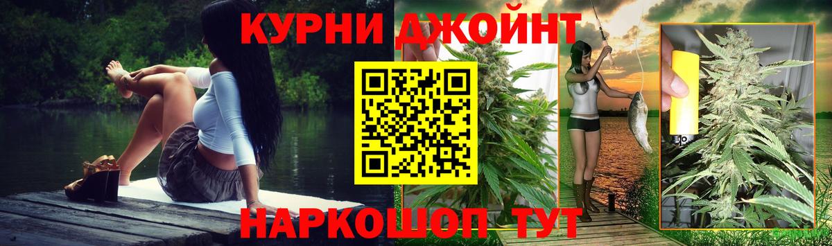 Каннабис OG Kush Аша